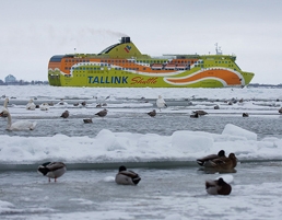 Tallink ship by Kain Kalju/creative commons